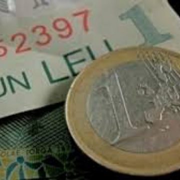 BNR: Cum mai stăm cu leul
