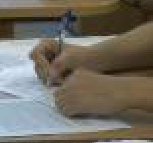 EXAMENUL MATURITĂȚII: Cele mai amuzante perle la BAC