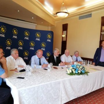 ALEGERI: Pensionarii liberali au președinte nou ALEGERI: Pensionarii liberali au președinte nou