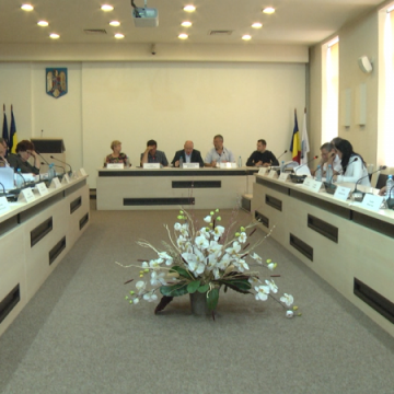IMPAS: Comisia de organizare a circulației, greu de… reorganizat IMPAS: Comisia de organizare a circulației, greu de… reorganizat