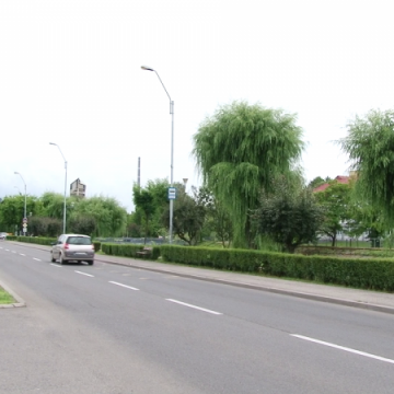 PLIN DE CĂPUȘE ȘI ȚÂNȚARI: A început campania de dezinsecție PLIN DE CĂPUȘE ȘI ȚÂNȚARI: A început campania de dezinsecție