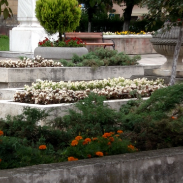 E DEJA PENIBIL! După scândurile din poduri se fură și florile din parcuri