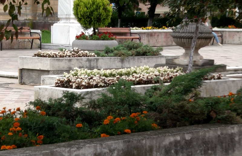 E DEJA PENIBIL! După scândurile din poduri se fură și florile din parcuri E DEJA PENIBIL! După scândurile din poduri se fură și florile din parcuri