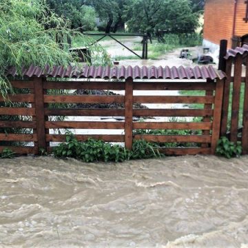 INTERVENȚII: Mai multe gospodării din Botiza au fost inundate ( FOTO)