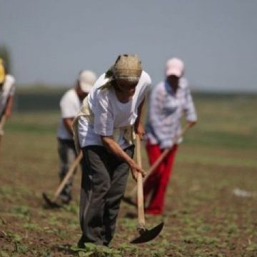 ITM: Campanie de informare şi control la toţi angajatorii care desfăşoară activităţi ocazionale cu zilieri
