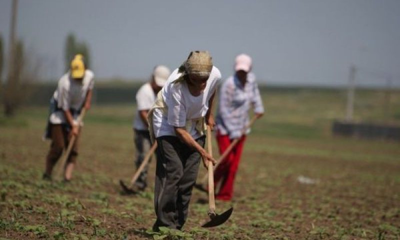 ITM: Campanie de informare şi control la toţi angajatorii care desfăşoară activităţi ocazionale cu zilieri ITM: Campanie de informare şi control la toţi angajatorii care desfăşoară activităţi ocazionale cu zilieri