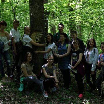 REPORTAJUL ZILEI: Pădurea Crăiasca, o comoară a unei ecodestinaţii maramureşene REPORTAJUL ZILEI: Pădurea Crăiasca, o comoară a unei ecodestinaţii maramureşene