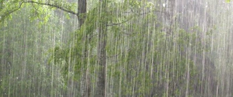 ATENȚIONARE METEO: Cod galben de ploi ATENȚIONARE METEO: Cod galben de ploi