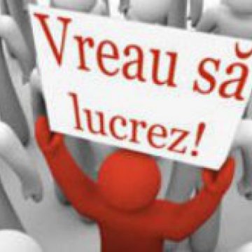 BENEFICII: Firmele primesc aproape 500 de euro la angajarea unui șomer sau absolvent