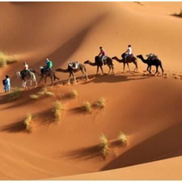 ADVERTORIAL: Tunisia – “Tara Voalului”, cu avion direct din Cluj ADVERTORIAL: Tunisia – “Tara Voalului”, cu avion direct din Cluj
