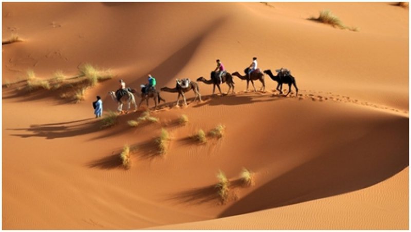 ADVERTORIAL: Tunisia – “Tara Voalului”, cu avion direct din Cluj ADVERTORIAL: Tunisia – “Tara Voalului”, cu avion direct din Cluj