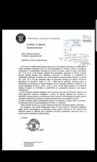 MĂSURI: Liber la vânătoare de mistreţi în Maramureş MĂSURI: Liber la vânătoare de mistreţi în Maramureş