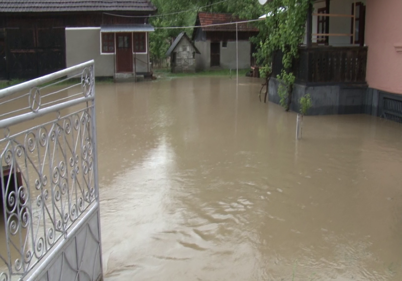 TÂRGU LĂPUŞ: Curţi inundate în urma unei ploi abundente TÂRGU LĂPUŞ: Curţi inundate în urma unei ploi abundente