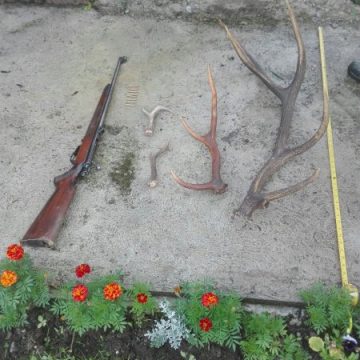 PUȘCĂ ȘI CUREAUA LATĂ: Un maramureșean, găsit cu o flintă pentru care nu avea autorizație și mai multe trofee de vânătoare PUȘCĂ ȘI CUREAUA LATĂ: Un maramureșean, găsit cu o flintă pentru care nu avea autorizație și mai multe trofee de vânătoare