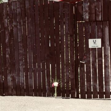 L-AU PRINS: Bărbatul suspectat că şi-a omorât tatăl a fost identificat în Satu Mare