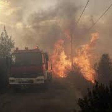 MINISTRUL APĂRĂRII DIN GRECIA: Cetăţenii au înrăutăţit situaţia prin construirea ilegală de case MINISTRUL APĂRĂRII DIN GRECIA: Cetăţenii au înrăutăţit situaţia prin construirea ilegală de case