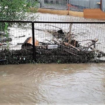 MARAMUREŞ: Un bărbat şi-a pierdut viaţa, luat de viitură MARAMUREŞ: Un bărbat şi-a pierdut viaţa, luat de viitură