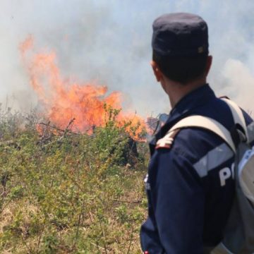 112: Incendiu de vegetaţie uscată, în Ferneziu 112: Incendiu de vegetaţie uscată, în Ferneziu