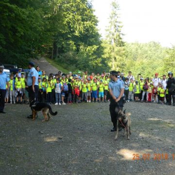 VACANȚĂ ÎN SIGURANȚĂ: Copii la lecții numai bune de învățat de la jandarmii montani VACANȚĂ ÎN SIGURANȚĂ: Copii la lecții numai bune de învățat de la jandarmii montani