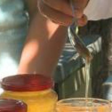 AFACERI CU MIERE: România, pe locul 4 în UE la producţia de miere AFACERI CU MIERE: România, pe locul 4 în UE la producţia de miere