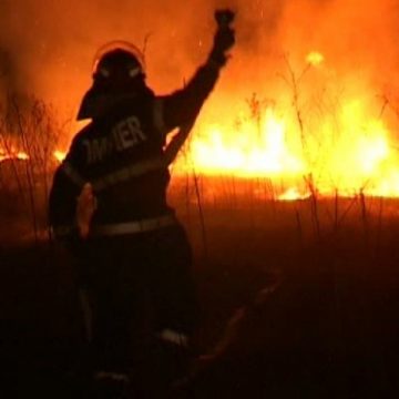 112: Intervenții ale pompierilor maramureșeni la mai multe incendii de vegetație uscată 112: Intervenții ale pompierilor maramureșeni la mai multe incendii de vegetație uscată