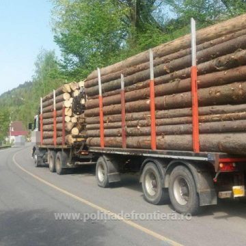 BILANȚ DE SEMESTRU: Controale ale polițiștilor pentru combaterea delictelor silvice BILANȚ DE SEMESTRU: Controale ale polițiștilor pentru combaterea delictelor silvice