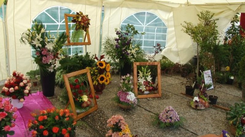 CASTANE 2018: S-a stabilit perioada în care va fi deschisă Expo-Flora CASTANE 2018: S-a stabilit perioada în care va fi deschisă Expo-Flora