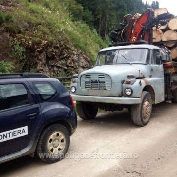A PĂȚIT-O: Căra lemne fără documente de transport