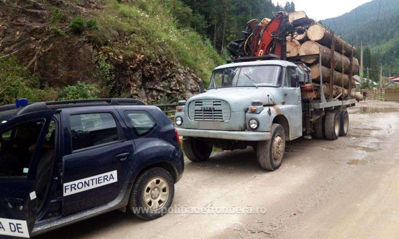 A PĂȚIT-O: Căra lemne fără documente de transport A PĂȚIT-O: Căra lemne fără documente de transport