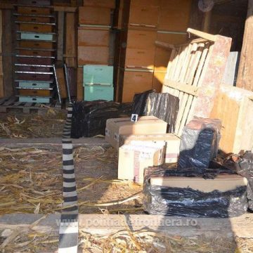 ITPF: Contrabandă cu împușcături