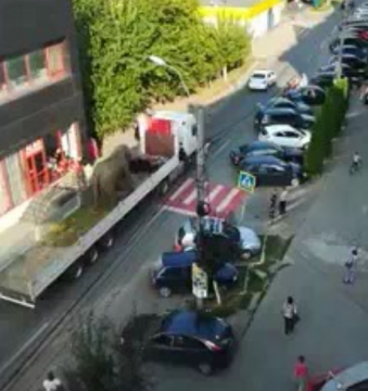 INDIGNARE: Reacții dure ale iubitorilor de animale după ce un elefant a fost plimbat cu camionul prin Sighet INDIGNARE: Reacții dure ale iubitorilor de animale după ce un elefant a fost plimbat cu camionul prin Sighet