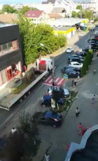 INDIGNARE: Reacții dure ale iubitorilor de animale după ce un elefant a fost plimbat cu camionul prin Sighet