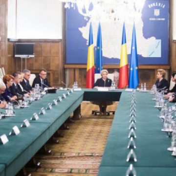 REPLICA: Guvernul Dăncilă îi răspunde președintelui Johannis pe tema pestei porcine REPLICA: Guvernul Dăncilă îi răspunde președintelui Johannis pe tema pestei porcine