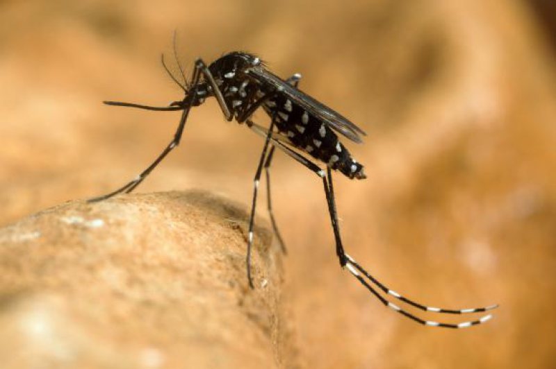 MINISTERUL SĂNĂTĂȚII: Şase morți în urma infectării cu West Nile MINISTERUL SĂNĂTĂȚII: Şase morți în urma infectării cu West Nile