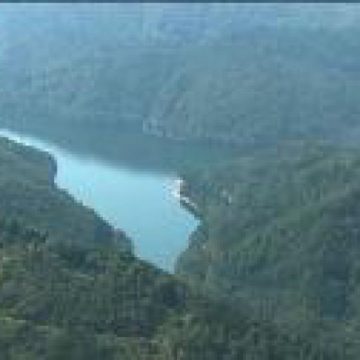 PROIECT: O fundație cumpără păduri pentru a opri defrișările