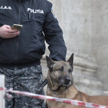PROTEST: Control pirotehnic preventiv în Piaţa Victoriei. Anunţul de ultima oră al Poliţiei cu privire la mitingul din 10 august PROTEST: Control pirotehnic preventiv în Piaţa Victoriei. Anunţul de ultima oră al Poliţiei cu privire la mitingul din 10 august