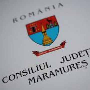 CJ: Discuții legate de asistența juridică pentru Centrul Școlar de Educație Incluzivă Sighet într-un litigiu de muncă