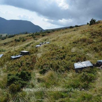 VÂNZOLEALĂ LA GRANIȚĂ: Țigări de peste 140.000 de lei confiscate, împușcături, dar fără contrabandiști prinși VÂNZOLEALĂ LA GRANIȚĂ: Țigări de peste 140.000 de lei confiscate, împușcături, dar fără contrabandiști prinși
