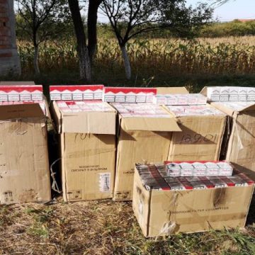 CONTRABANDĂ: Țigări ascunse în rezervorul unei mașini, descoperite cu ajutorul unui câine