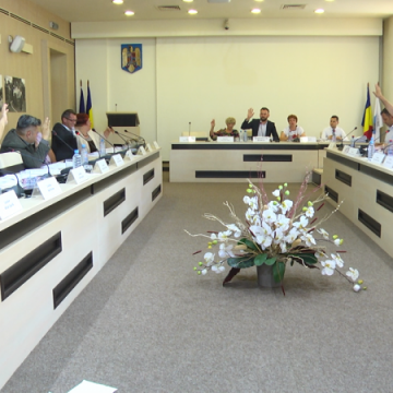 NU-I RĂU: Consiliul Local cere transparență NU-I RĂU: Consiliul Local cere transparență