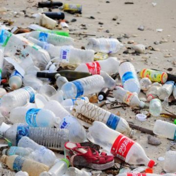 REVOLUȚIA PLASTICULUI: 1000 de PET-uri se vor transforma într-o construcție