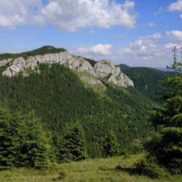 PROIECT: Terenurile destinate exploatării resurselor minerale pot fi scoase din ariile protejate PROIECT: Terenurile destinate exploatării resurselor minerale pot fi scoase din ariile protejate
