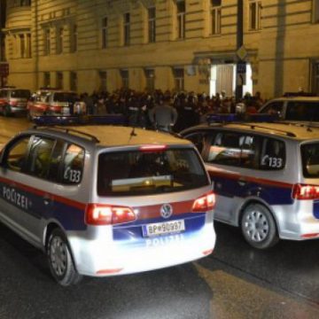 VIENA: Un român care a vandalizat un autoturism şi a ameninţat poliţişti cu un cuţit a fost arestat