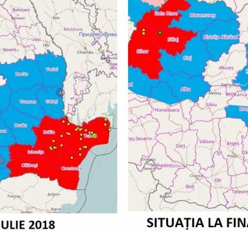 REACȚIE: Severica Covaciu cere comisie parlamentară de anchetă, în cazul pestei porcine REACȚIE: Severica Covaciu cere comisie parlamentară de anchetă, în cazul pestei porcine