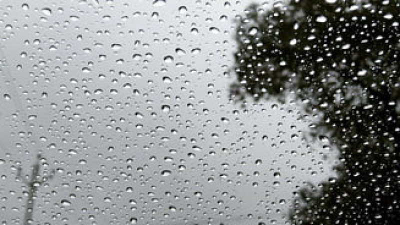 SE SCHIMBĂ VREMEA: În perioada 22 – 26 septembrie, temperatura aerului va fi în scădere SE SCHIMBĂ VREMEA: În perioada 22 – 26 septembrie, temperatura aerului va fi în scădere