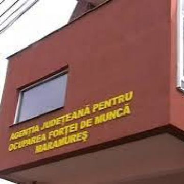 PIAȚA JOBURILOR: Așteptări mari de la Bursa locurilor de muncă pentru absolvenți