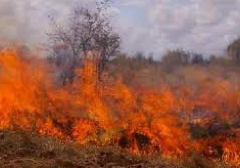 WEEKEND CU FLĂCĂRI: 11 situații de urgență pentru pompieri, de la incendii de vegetație până la mașini care au luat foc
