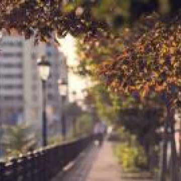 METEO: Temperaturile vor trece din nou de 20 de grade. De când se încălzește METEO: Temperaturile vor trece din nou de 20 de grade. De când se încălzește