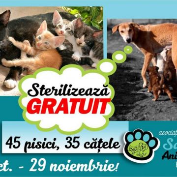ASOCIAȚIA SALVAȚI ANIMALELE: O nouă campanie de sterilizare gratuită a câinilor și pisicilor ASOCIAȚIA SALVAȚI ANIMALELE: O nouă campanie de sterilizare gratuită a câinilor și pisicilor
