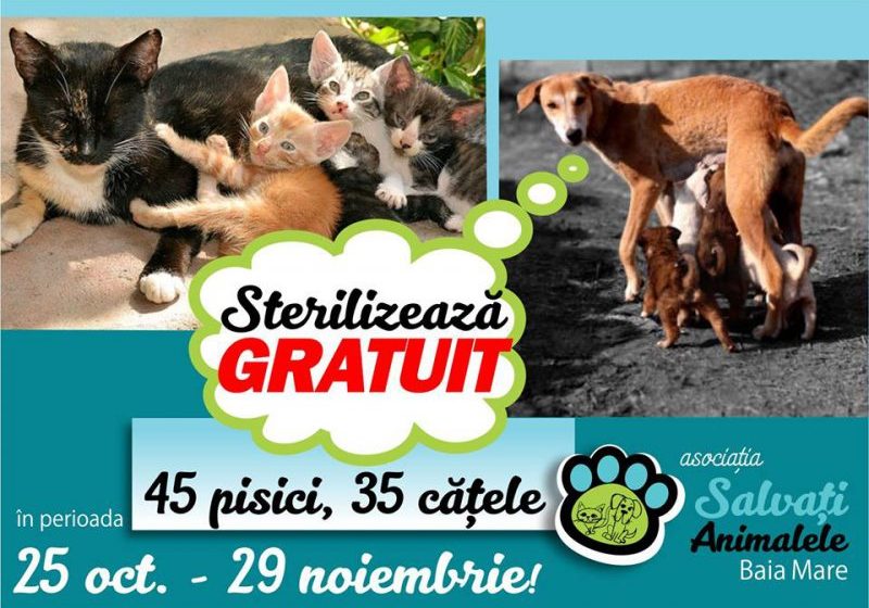 ASOCIAȚIA SALVAȚI ANIMALELE: O nouă campanie de sterilizare gratuită a câinilor și pisicilor ASOCIAȚIA SALVAȚI ANIMALELE: O nouă campanie de sterilizare gratuită a câinilor și pisicilor
